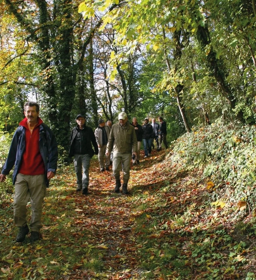 Herbstliche Wanderung Auf dem LT21 Heimat Kultur Assamstadt