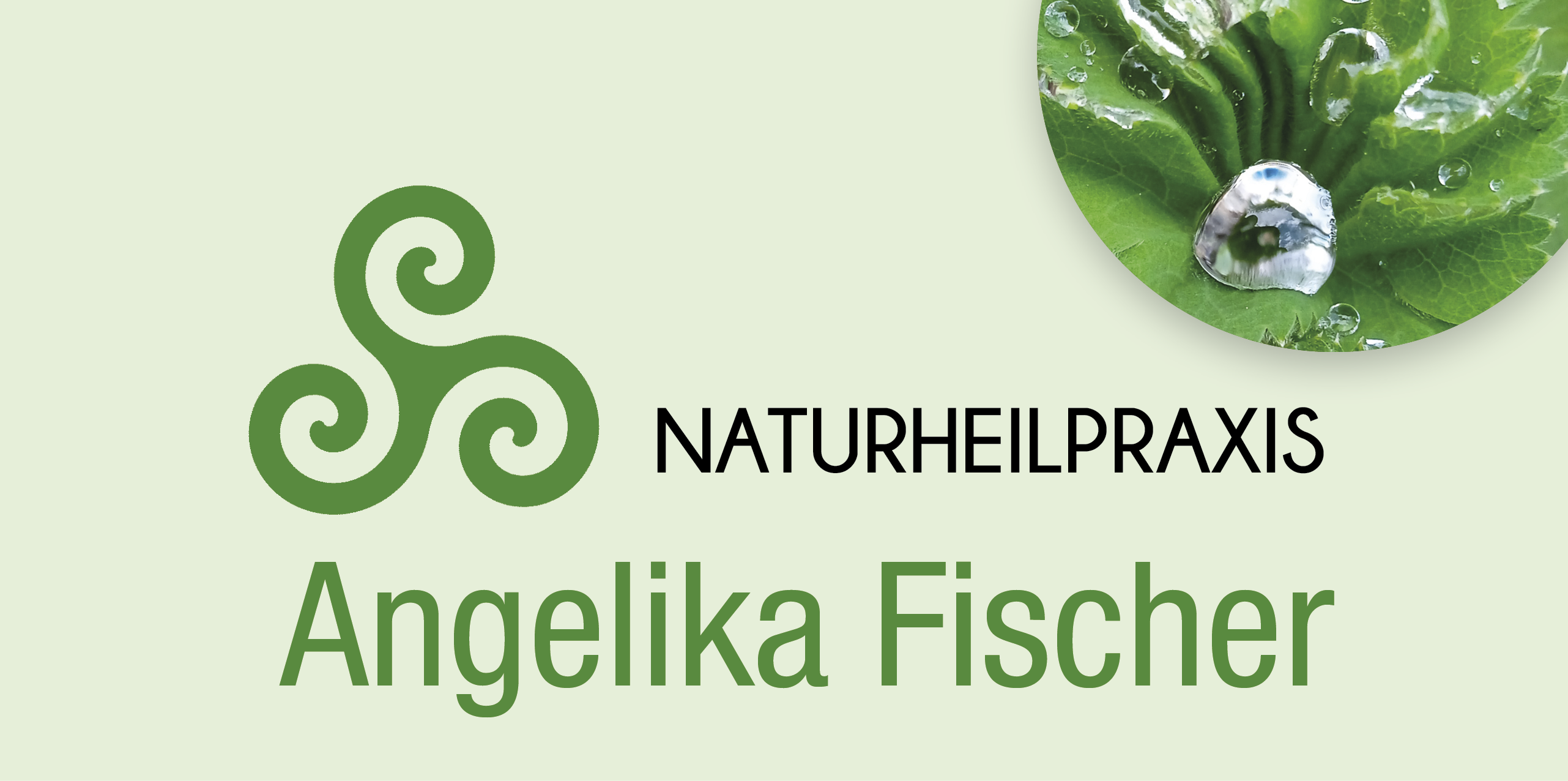 Logo Fischer