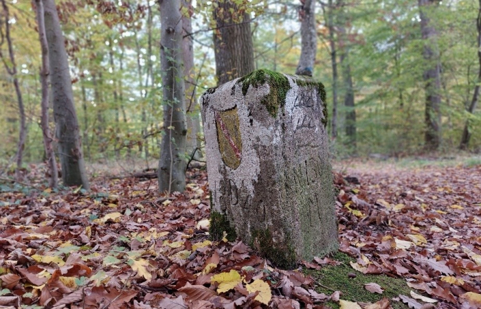 20230316_Grenzstein